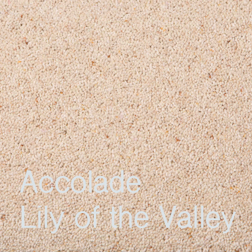 Accolade Lily of the Valley Accolade Lily of the Valley